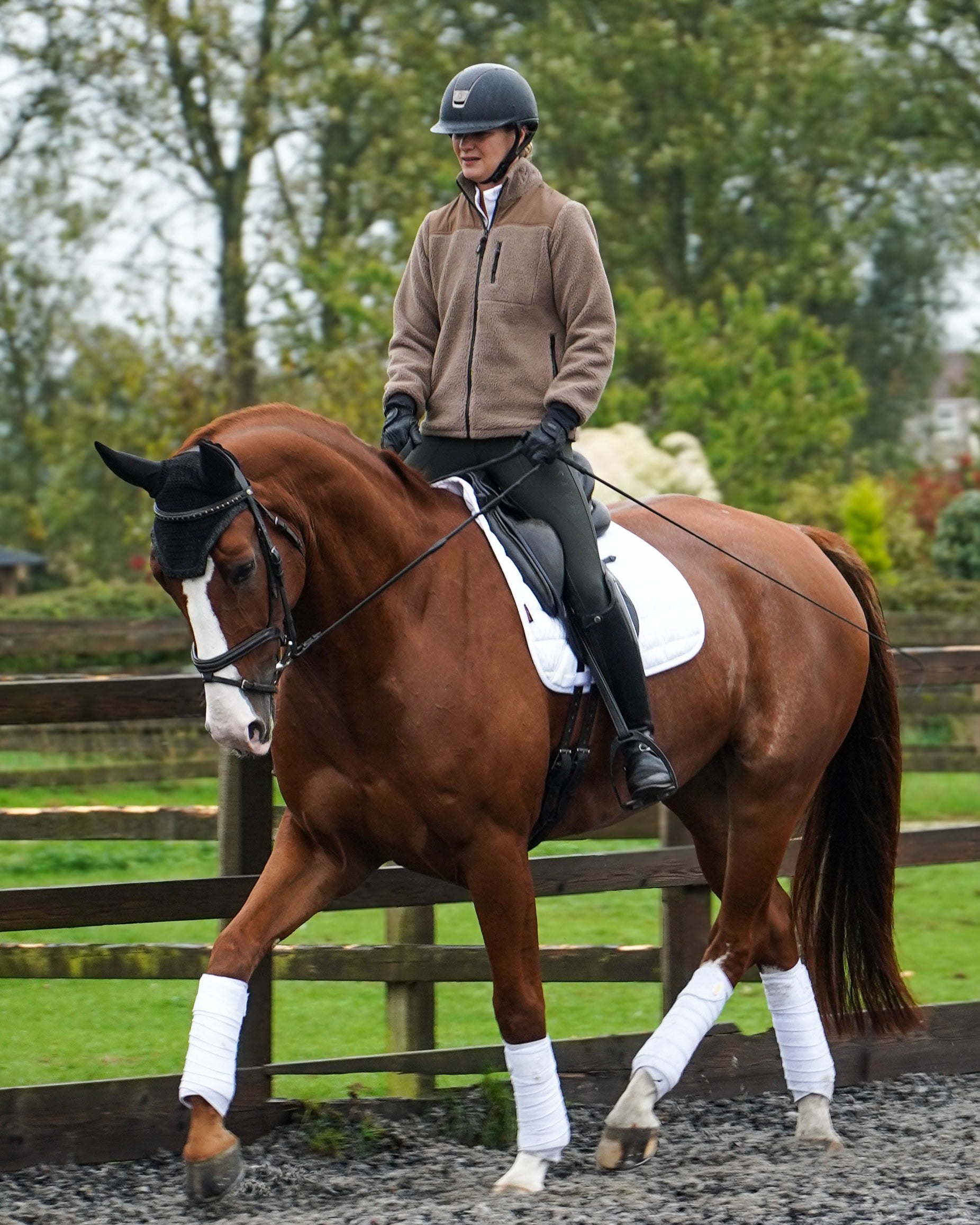 Tolpuddle Teddy Fleece
