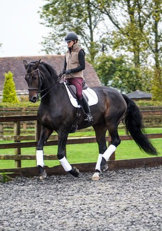 STUDLAND PERFORMANCE BREECHES - WINE