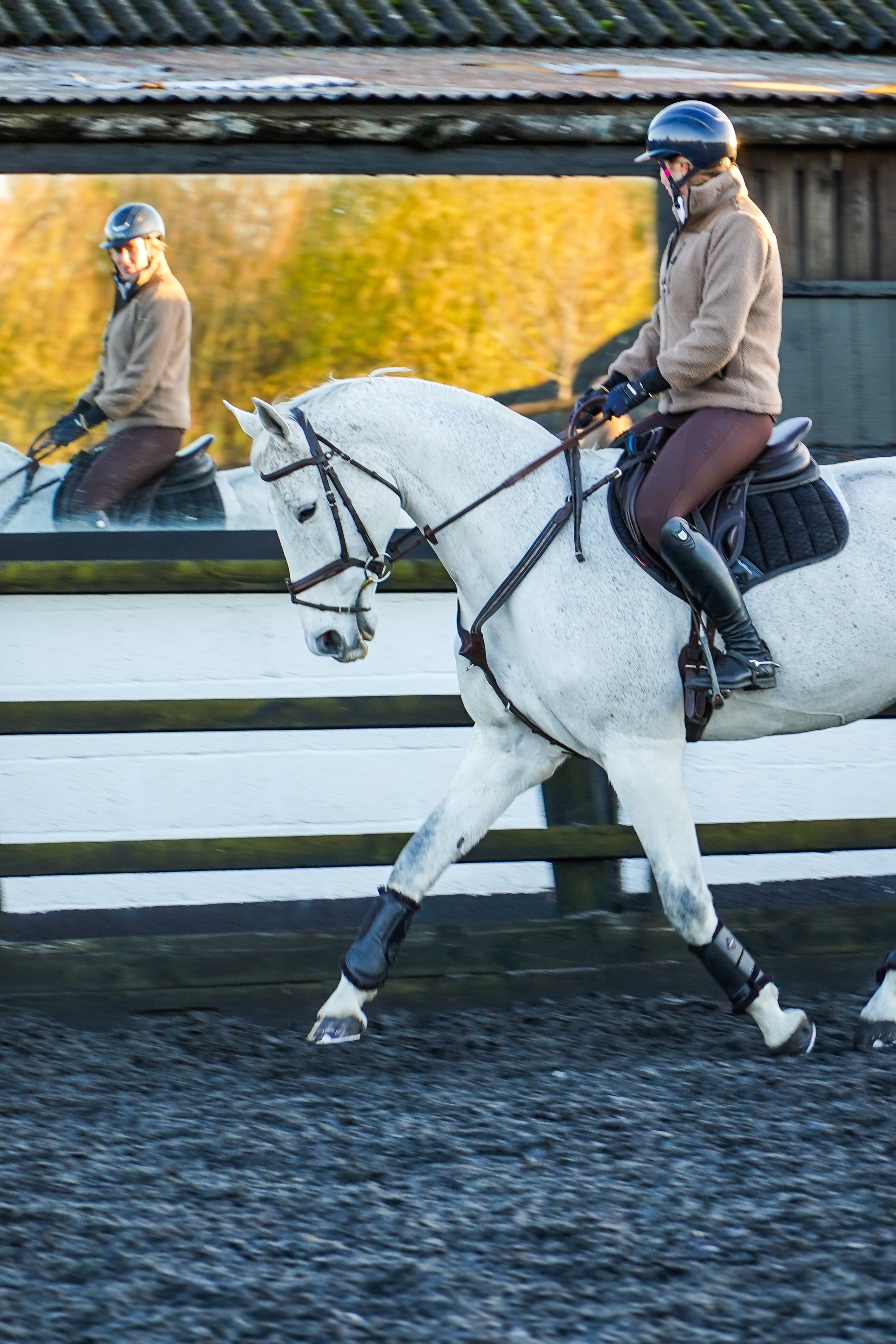 women riding white horses in a paddock with a wooden fence and grassy area. riding in a arena ménage on white horse in brown fleece