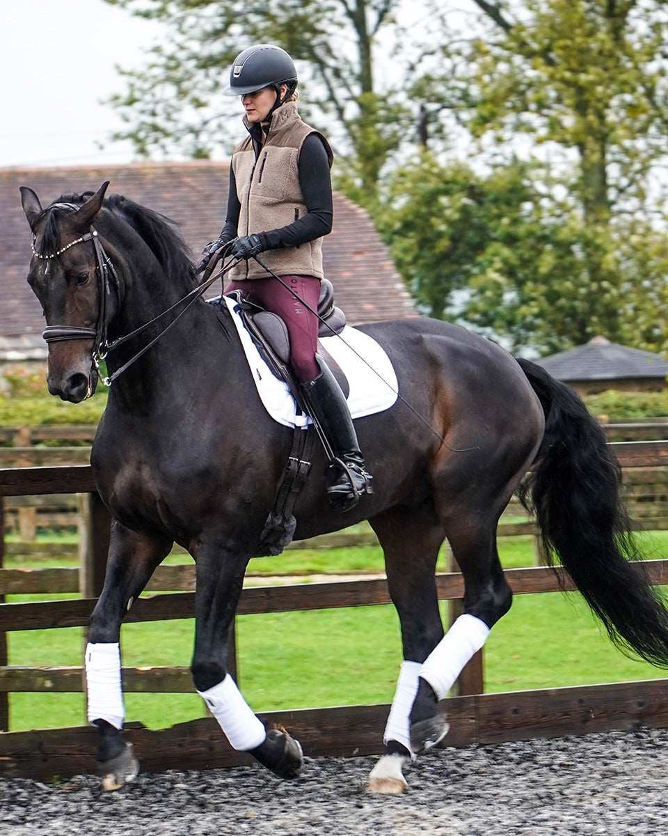 Studland Performance Full Seat Breeches | Wine
